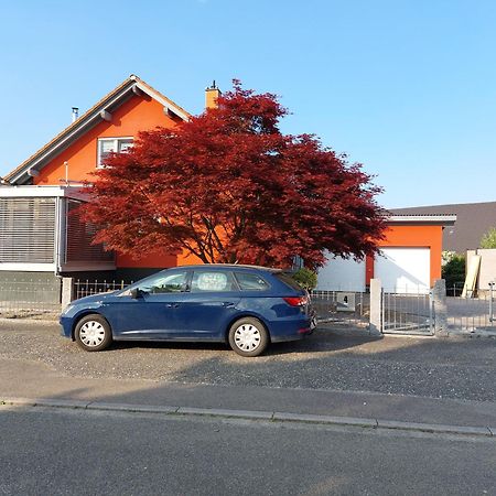 Sonnige Ferienwohnung Bei Familie Koehler Kappel-Grafenhausen Exteriör bild